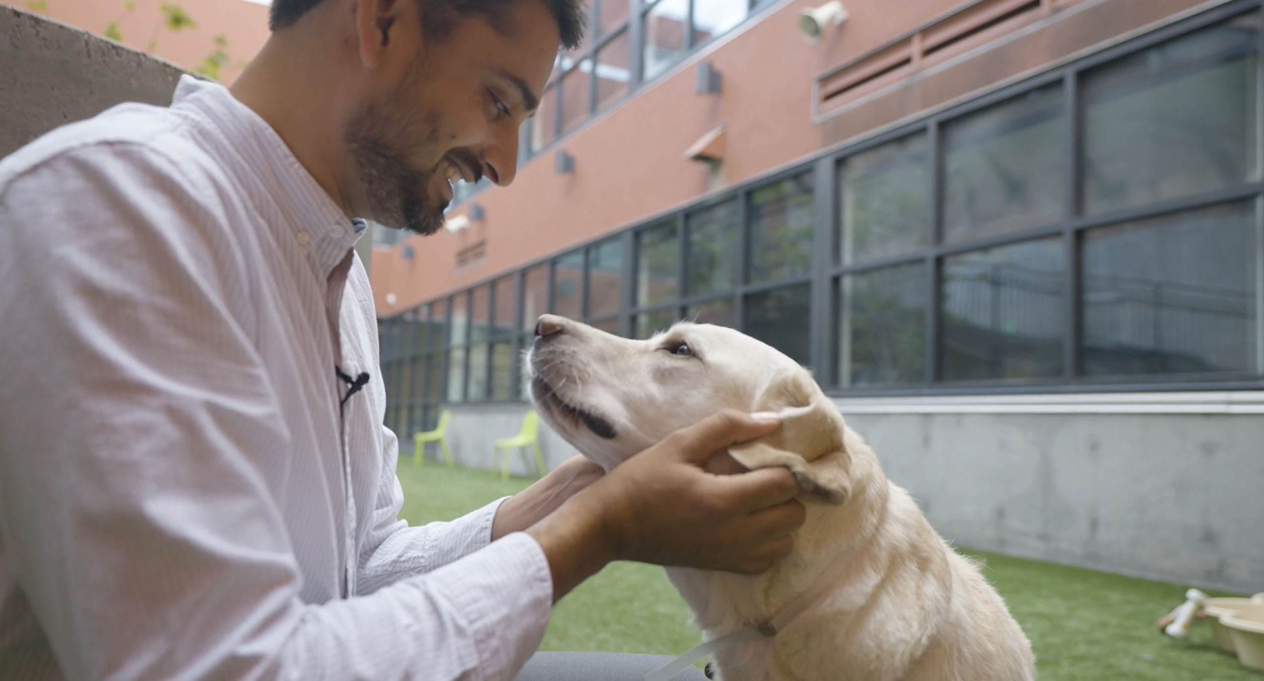 SF Animal Care