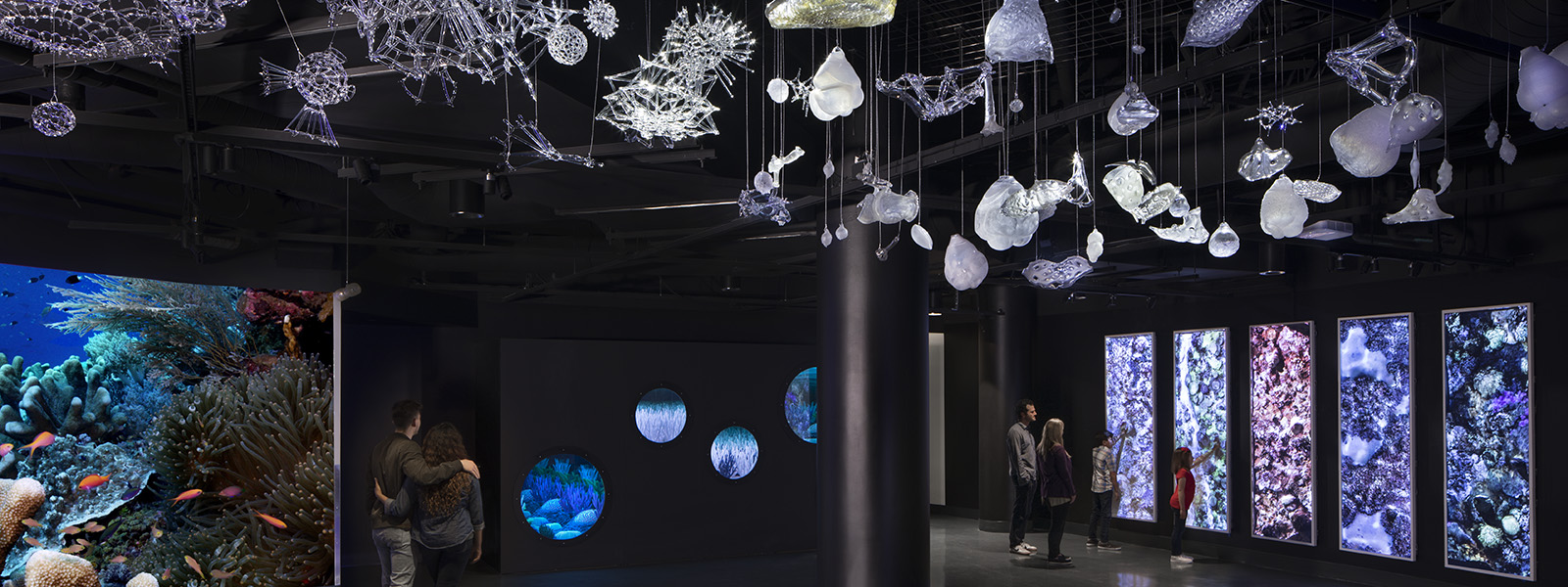 Aquarium of the Pacific Opens New Pacific Visions Wing 