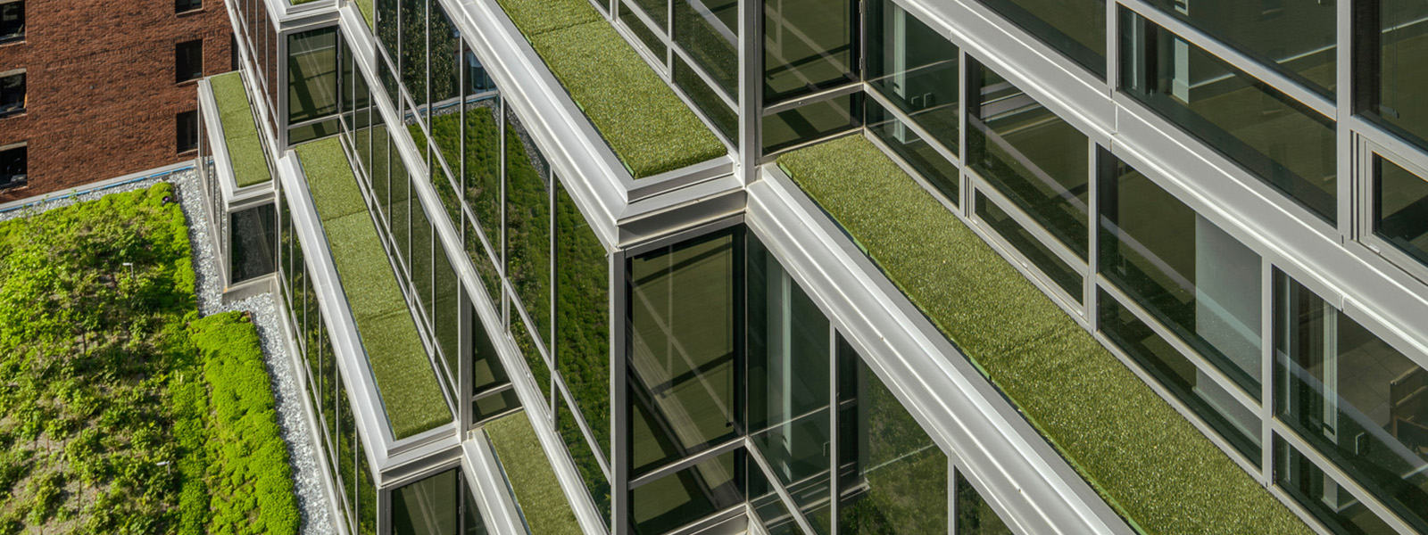 The Value of Health and Wellness in Green Buildings