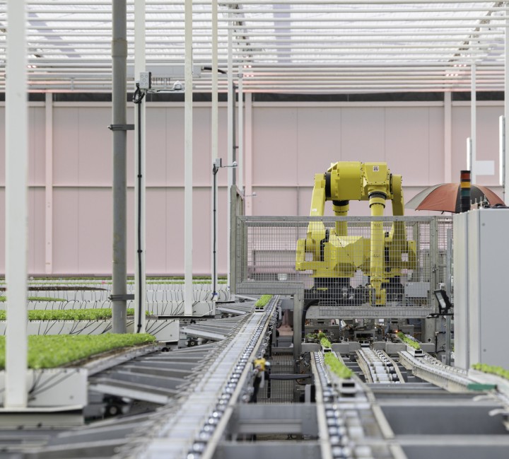 Greenhouse in use