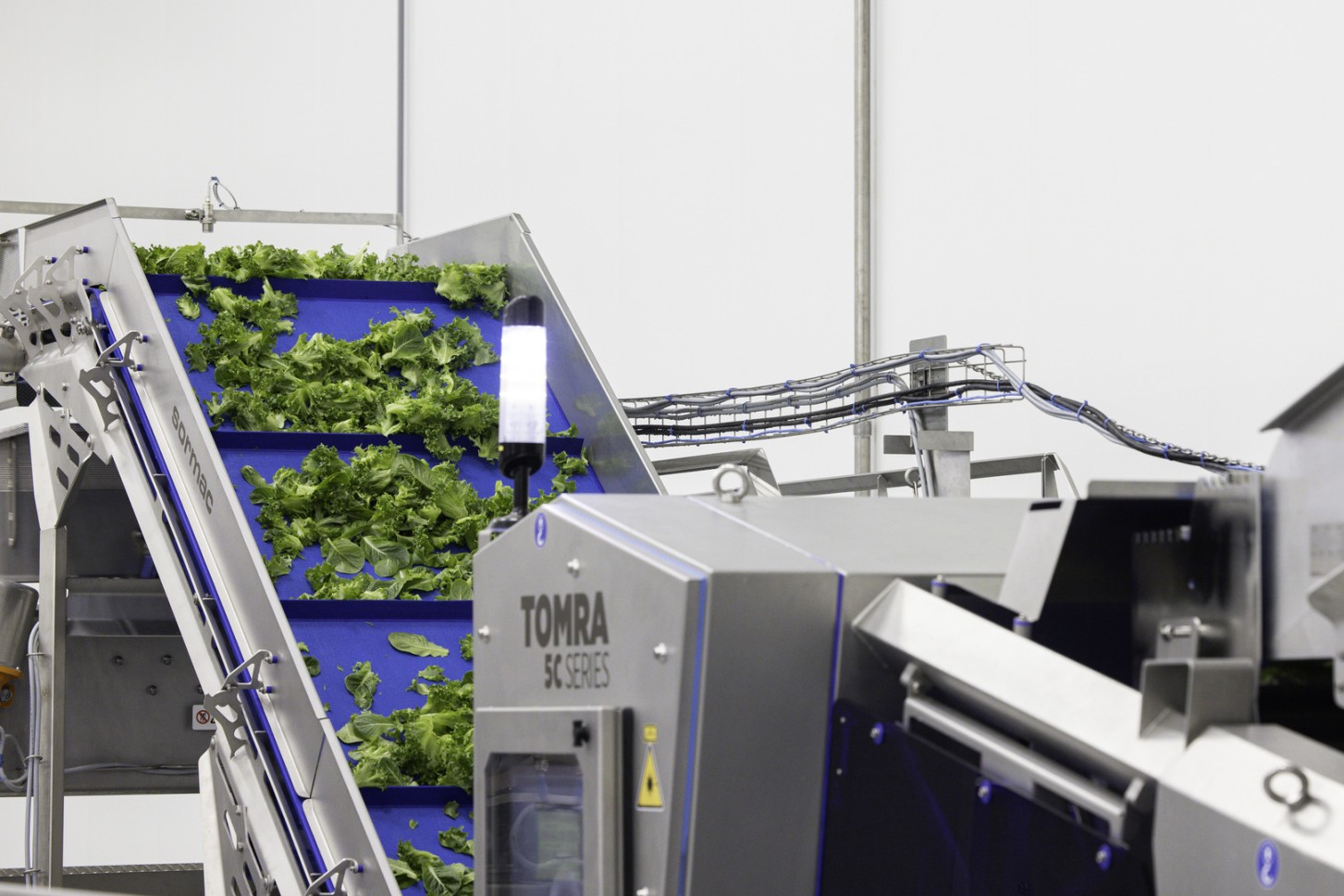 conveyor at greenhouse