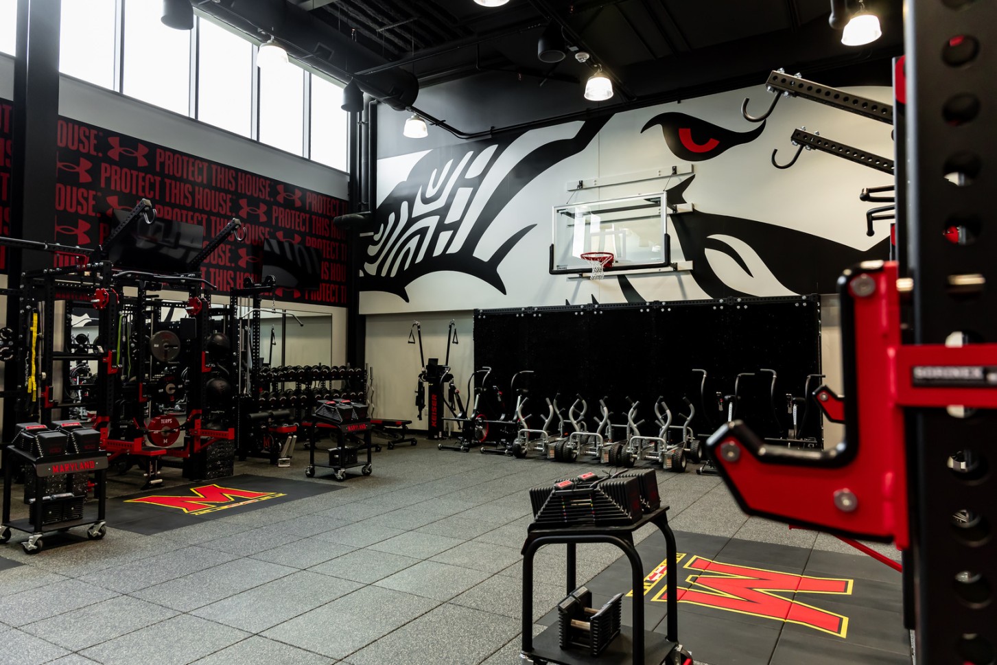 weights