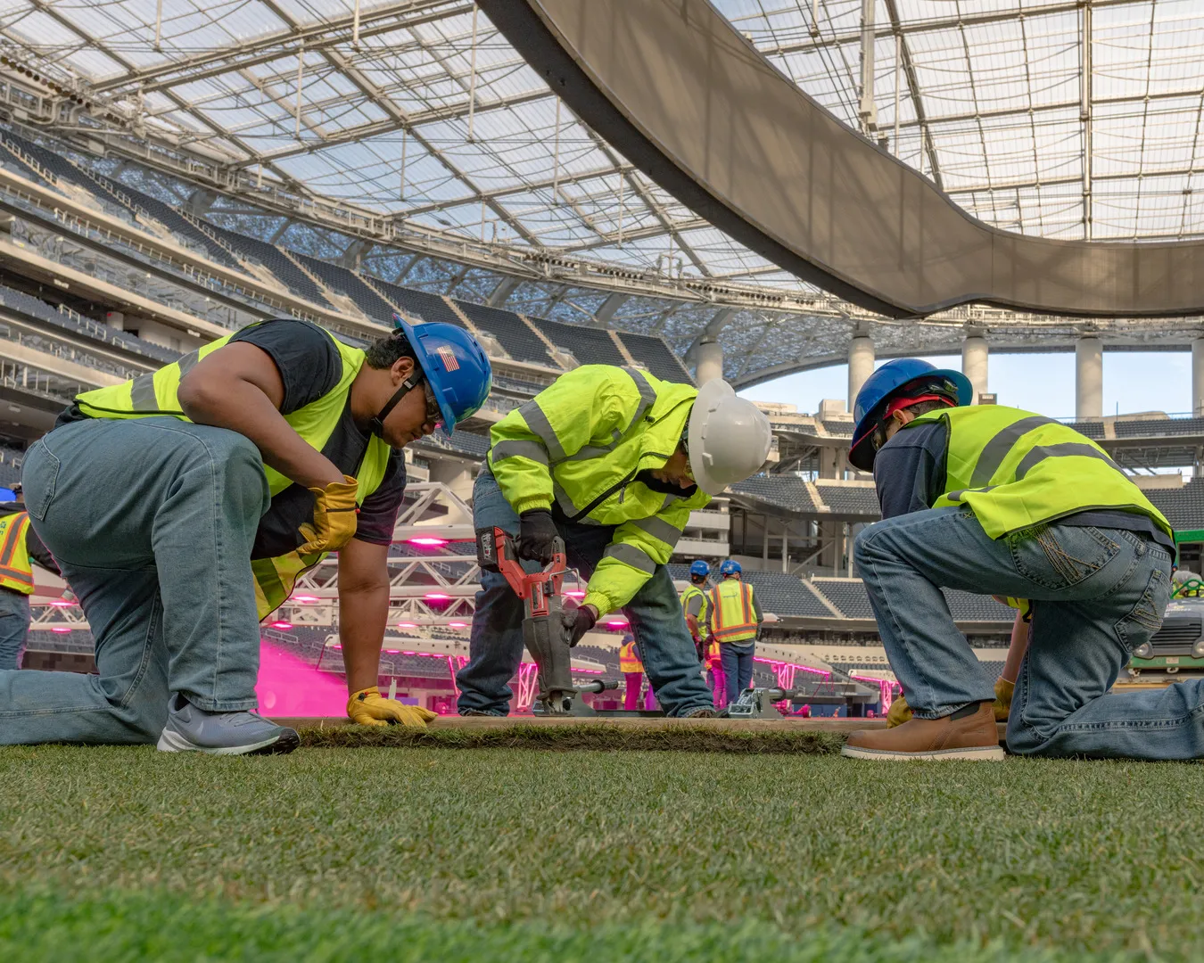 laying turf