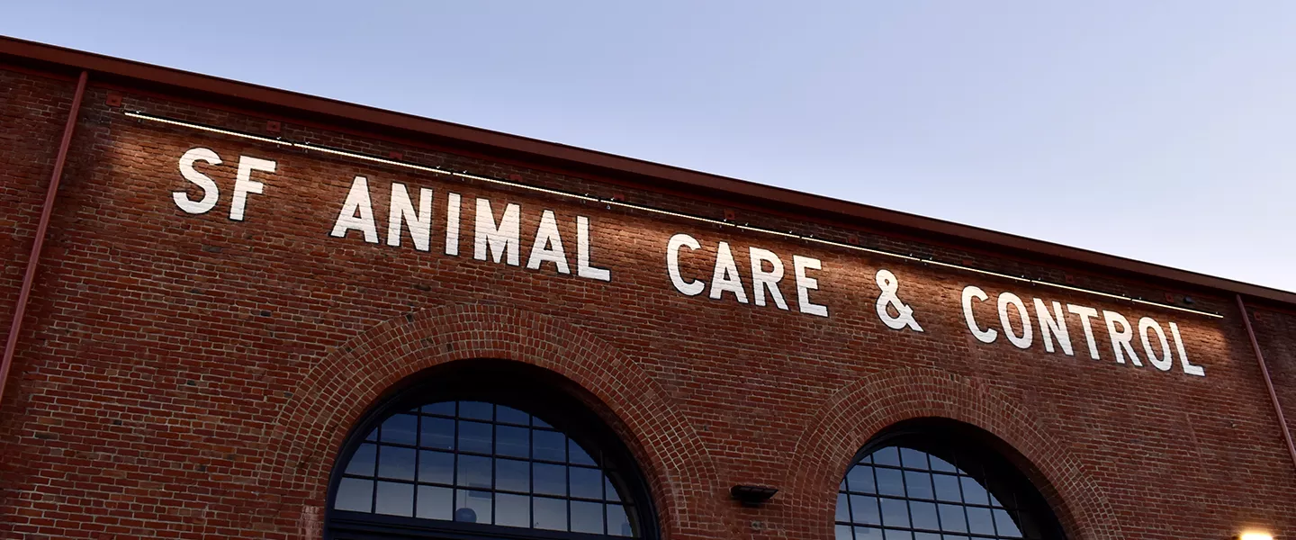 Clark Completes Historic Renovations for San Francisco's new Animal Care and Control Facility