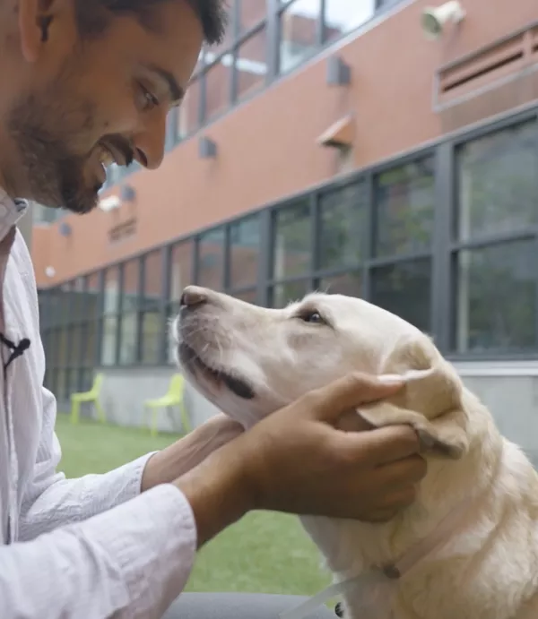 SF Animal Care