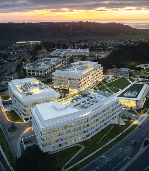 Torrey View Aerial