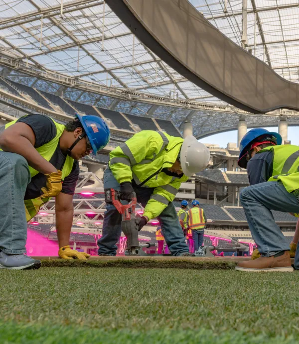 laying turf
