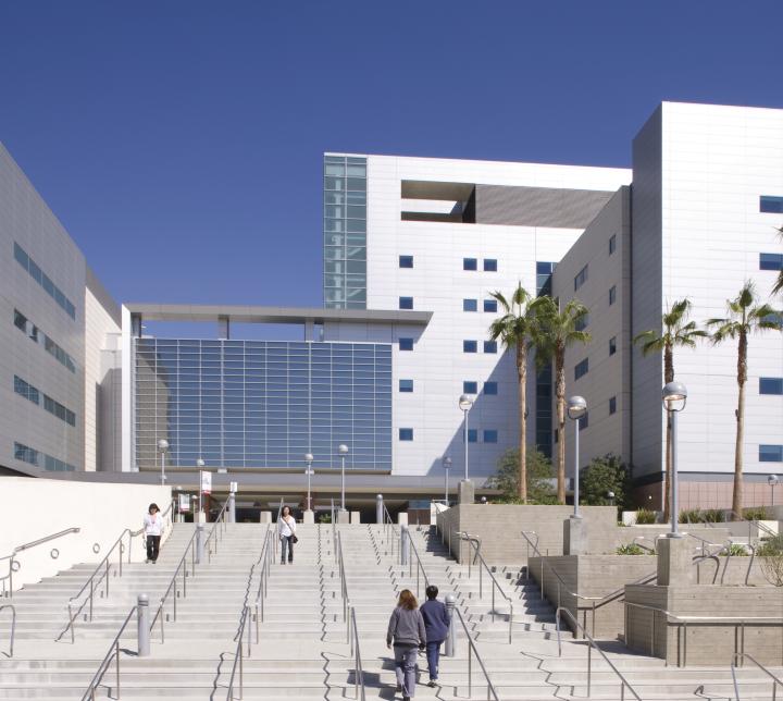 LAC+USC Medical Center