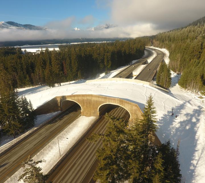 I-90 Keechelus Dam to Stampede Pass Phase 2A