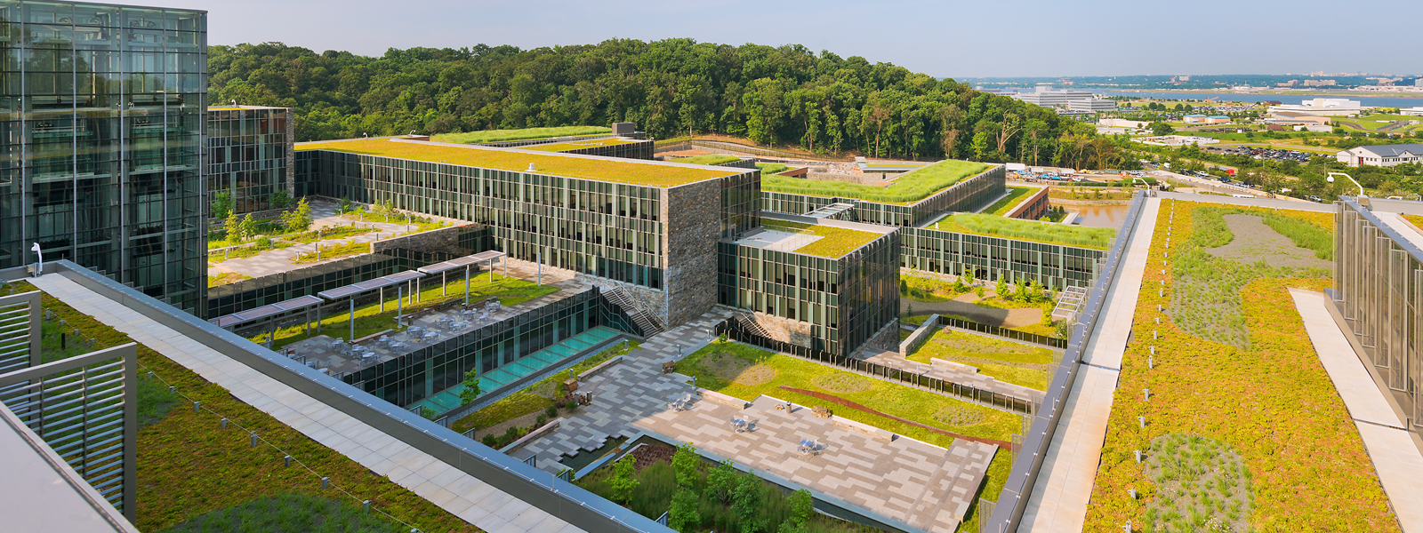 Clark Welcomes New Sustainability Director